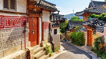 Seoul Fun Private Tour (customizable) 