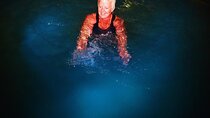 Glistening Waters Luminous Lagoon Night tour with swim option 
