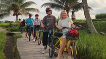 Ubud : Kintamani Downhill Cycling Tour with Lunch