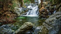 Caledonia Waterfalls Tour with Lunch