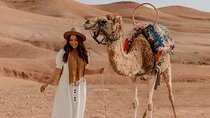 Private Agafay Desert : Sunset Camel Trekking with Tea & Water
