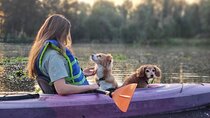 Xochimilco Sunrise Tour: Kayak at the Magic Morning Light