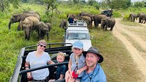 Minneriya National Park Half day Jeep Safari with Hotel Pickup