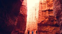 Excursion to Cafayate & Wine Country from Salta