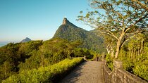 Half Day Private Tour in Tijuca Forest