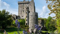 Luxury Private Day Tour to Blarney Castle