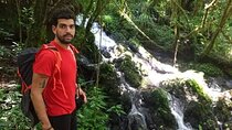 Day trip to mount Kilimanjaro from Moshi 