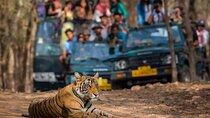 Private Delhi Agra Jaipur Multi Day Tour