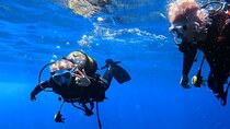 Scuba Experience in Tenerife with Guide 