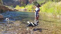 Guided tour of the paradise valley 