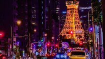 Tokyo Twilight Expedition Car Tour – Nighttime City Cruise!