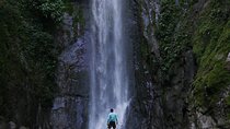 Jungle Hike to Hidden Waterfall in Puerto Viejo