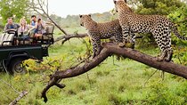 Kruger National Park & Blyde River Canyon Tour from Johannesburg
