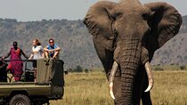 3 Day Full Board Safari Kruger National Park from Johannesburg
