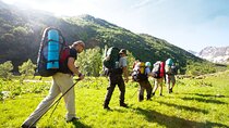4 Day Garden Route Private Tour from Cape Town incl Botlierskop 