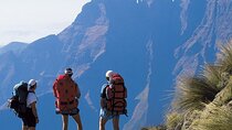 7 Day Safari Cape Town, Johannesburg and Kruger National Park 