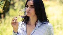Wine tasting in Lucca