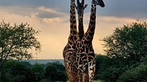Giraffe Centre, Karen Blixen Museum and Beads Factory Tour