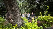 San Angel Private Ecotour