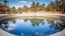 Discover Siwa In 3 Days 2 Nights Package From Cairo