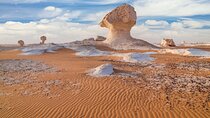 Bahariya Oasis & Black and White Desert Day Trip from Cairo