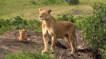 7 Days Kenya Adventure