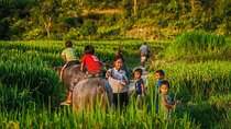 Immerse in Mai Chau: Explore the Colorful Northwest & Hidden Cave