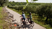 Self Guided E-Bike and Wine Adventure in Valpolicella Classica