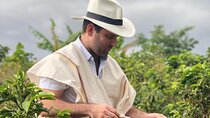 Coffee tour with cable car in Medellin