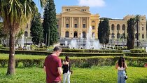 São Paulo 5 Hour Private Tour With Fruit Tasting