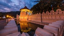 From Sigiriya to Kandy Transfer by Private Comfortable Car 