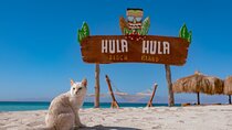 Hula Hula Island Snorkeling Full Day Boat Trip with Lunch