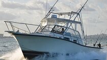 Bertram 35ft boat sport fishing cancun up to 6 passengers
