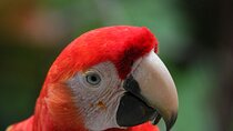 Carara National Park Guided Tour