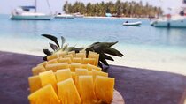 San Blas Day Trip (Transfers & Lunch included)