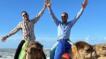 Private tour of Tangier: visit to the Kasbah and camel ride. 