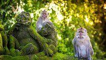 One Day UBUD Private Tour From Benoa Port Bali