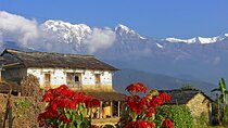3 Days Hiking Tour in Astam, Hyanjakot & Dhampus from Pokhara
