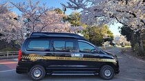 Private Transfer From Jeju Airport to in Seogwipo Jeju Island 