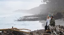 Queenstown to Franz Josef Day Tour