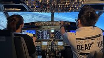 Tokyo 6hr Private Guided Tour and Flight Simulator Experience