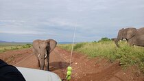 03 Days Wildlife and Nature Adventure in Masai Mara