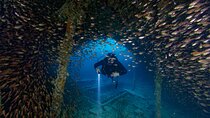 3 Fun Dives King Cruiser Wreck and Koh DokMai for Certified diver