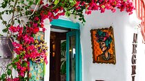 Semi Private South Mykonos Town Beaches and Village