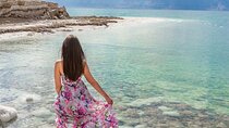 Day Tour To Petra and Dead Sea with Lunch Included 