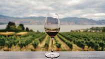Private Tour to Discover Alentejo Wines