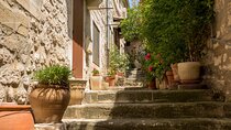 Private Guided Tour of Saint-Remy, Arles, and Les Baux