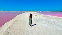 Safari in Rio Lagartos, Coloradas and Mayan Bath
