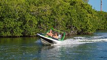 Total Speed Boat Tour and Snorkel Cancun