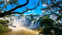 Guided Tour Brazilian Falls and Bird Park Exploration